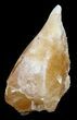 Unusual Dogtooth Calcite Crystal - Morocco #57374-1